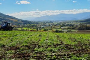 View from the farm